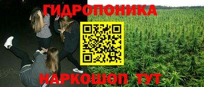 гашиш Малгобек