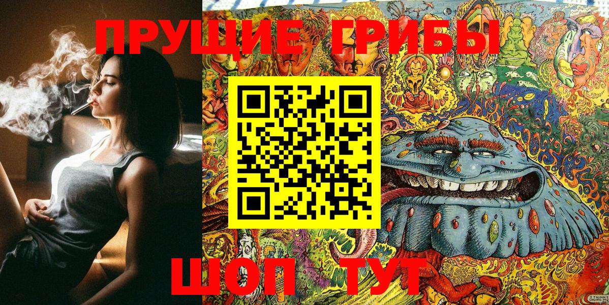 Псилоцибиновые грибы Psilocybe Среднеуральск