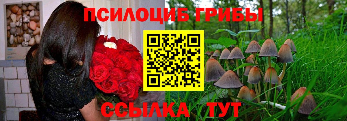 Галлюциногенные грибы Psilocybine cubensis  Вход с VPN  Среднеуральск  Галлюциногенные грибы ЛСД 